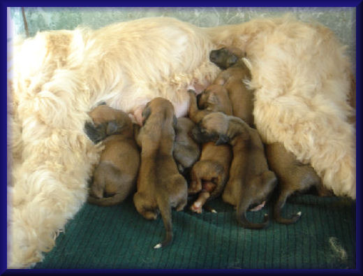 2 days old